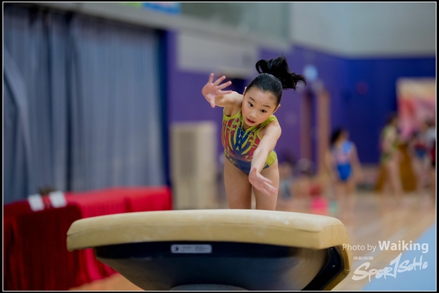 2019-03-31 Artistic Gym 0072