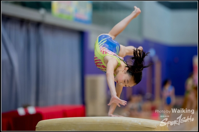 2019-03-31 Artistic Gym 0073