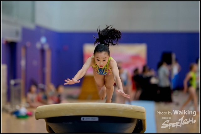 2019-03-31 Artistic Gym 0077