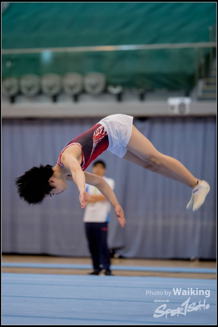 2019-03-31 Artistic Gym 0112