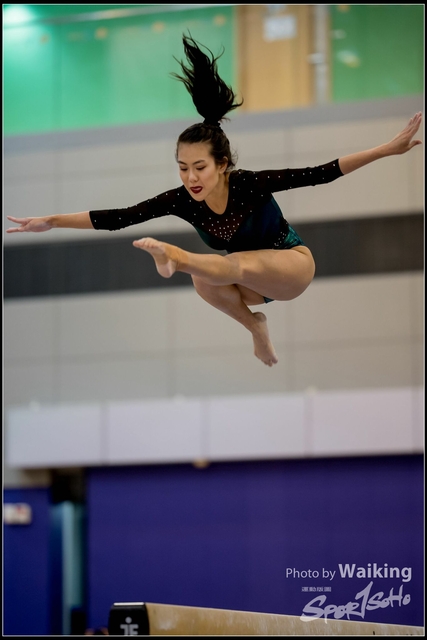 2019-03-31 Artistic Gym 0142