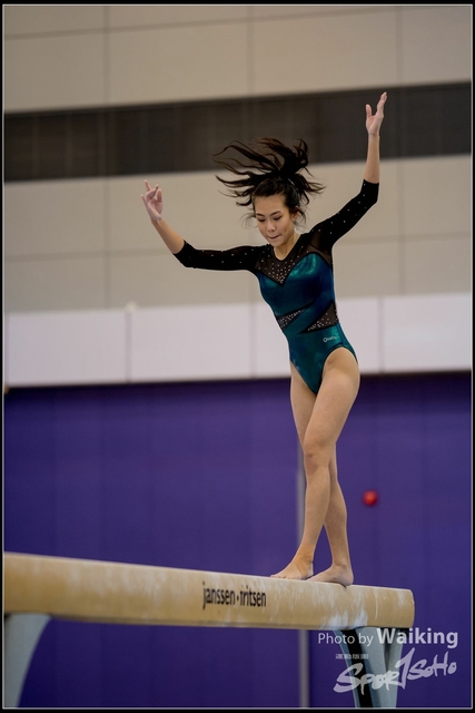 2019-03-31 Artistic Gym 0145