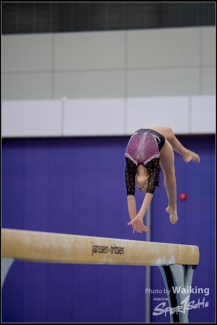 2019-03-31 Artistic Gym 0196