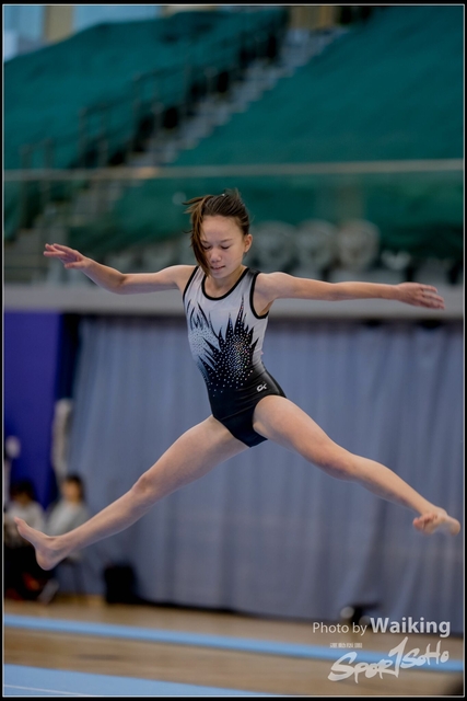 2019-03-31 Artistic Gym 0207