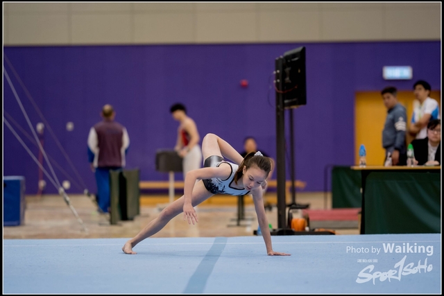 2019-03-31 Artistic Gym 0209