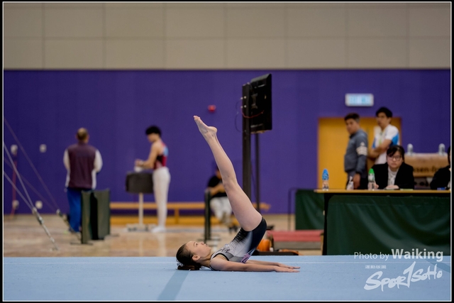 2019-03-31 Artistic Gym 0210