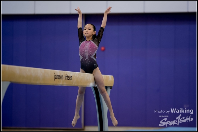 2019-03-31 Artistic Gym 0214
