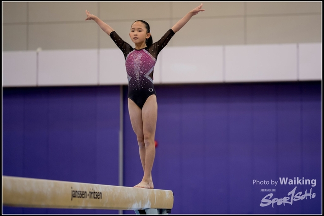 2019-03-31 Artistic Gym 0216