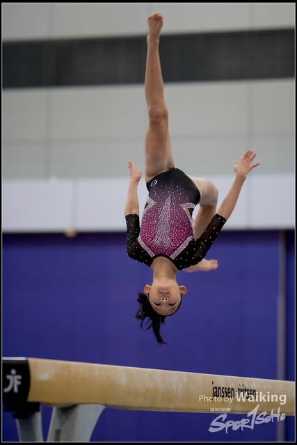 2019-03-31 Artistic Gym 0219