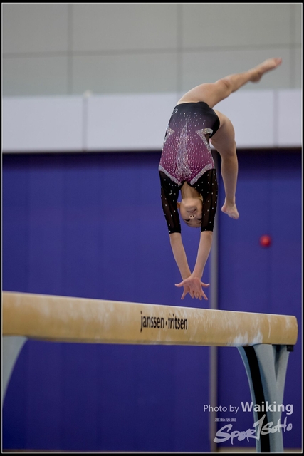 2019-03-31 Artistic Gym 0220