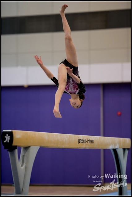 2019-03-31 Artistic Gym 0222