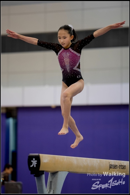 2019-03-31 Artistic Gym 0225