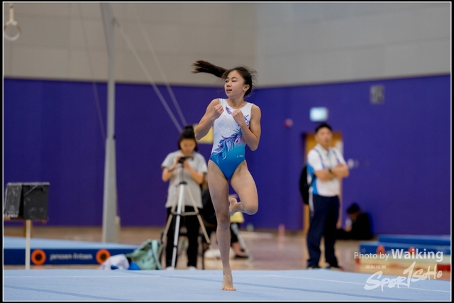 2019-03-31 Artistic Gym 0228