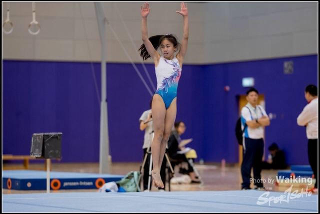2019-03-31 Artistic Gym 0229