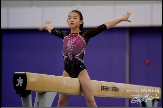 2019-03-31 Artistic Gym 0232