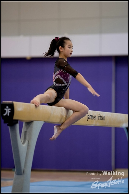 2019-03-31 Artistic Gym 0233