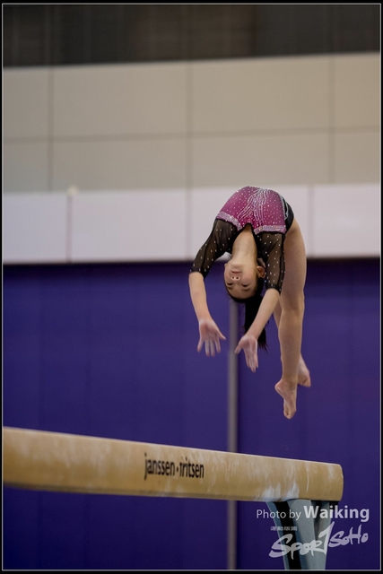 2019-03-31 Artistic Gym 0234