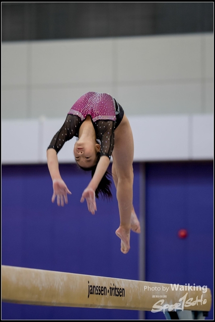 2019-03-31 Artistic Gym 0235
