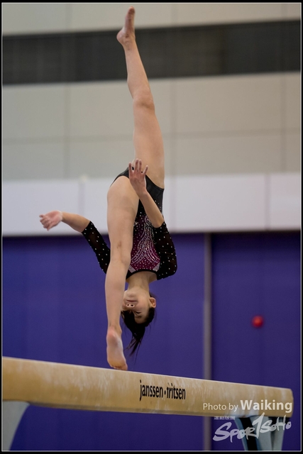 2019-03-31 Artistic Gym 0238