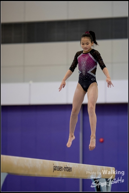 2019-03-31 Artistic Gym 0240