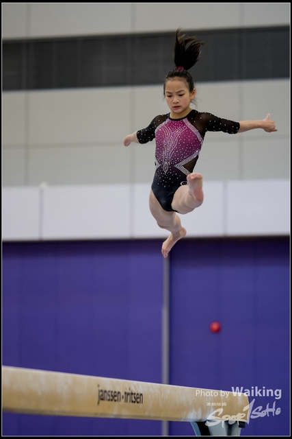 2019-03-31 Artistic Gym 0241