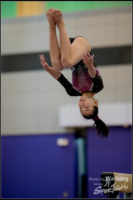 2019-03-31 Artistic Gym 0245
