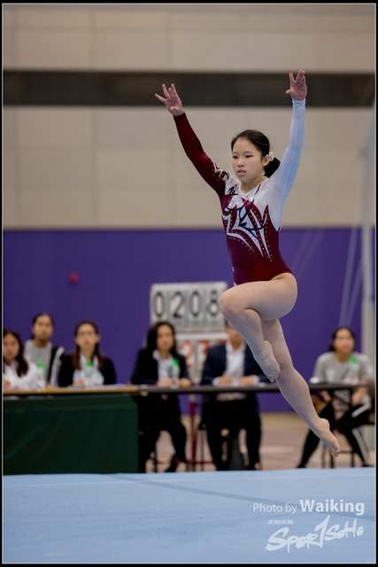 2019-03-31 Artistic Gym 0247