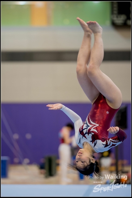 2019-03-31 Artistic Gym 0248