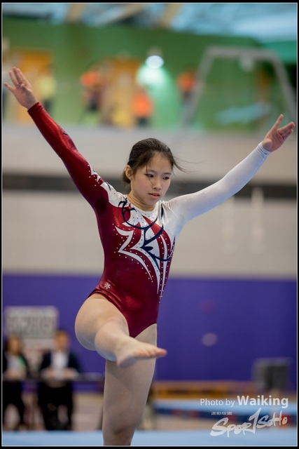 2019-03-31 Artistic Gym 0249