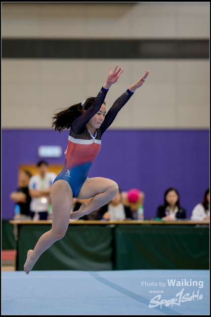 2019-03-31 Artistic Gym 0253