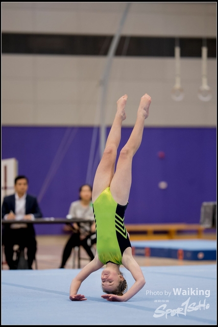 2019-03-31 Artistic Gym 0265