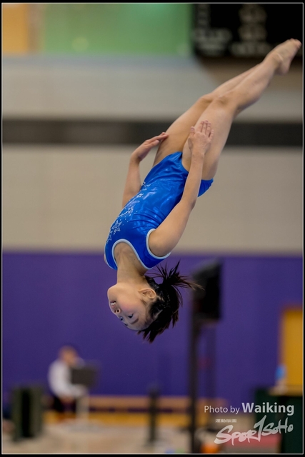 2019-03-31 Artistic Gym 0270
