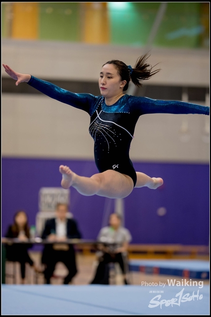 2019-03-31 Artistic Gym 0279