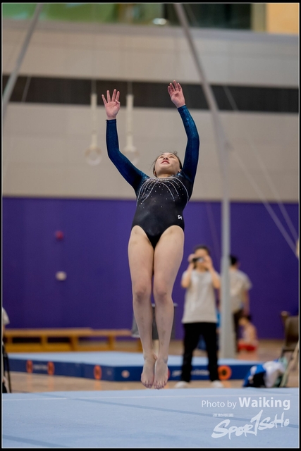 2019-03-31 Artistic Gym 0280