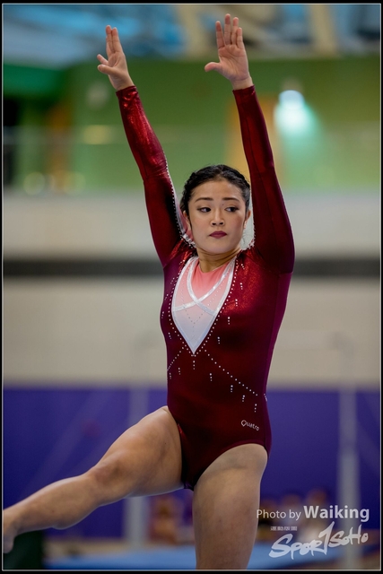 2019-03-31 Artistic Gym 0288