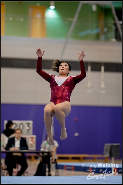 2019-03-31 Artistic Gym 0289
