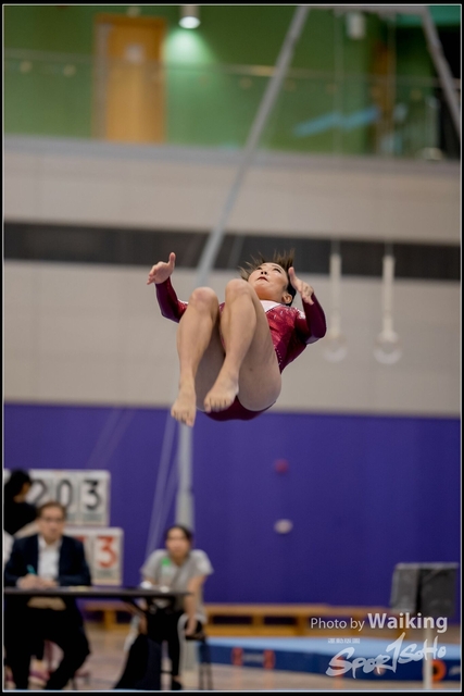2019-03-31 Artistic Gym 0290