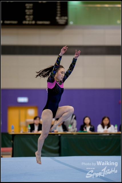 2019-03-31 Artistic Gym 0292