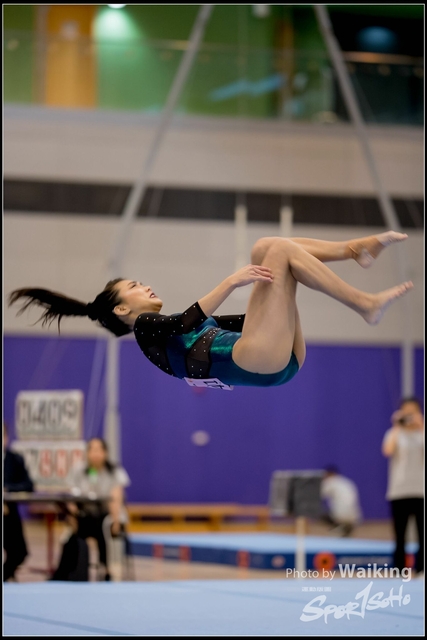 2019-03-31 Artistic Gym 0300