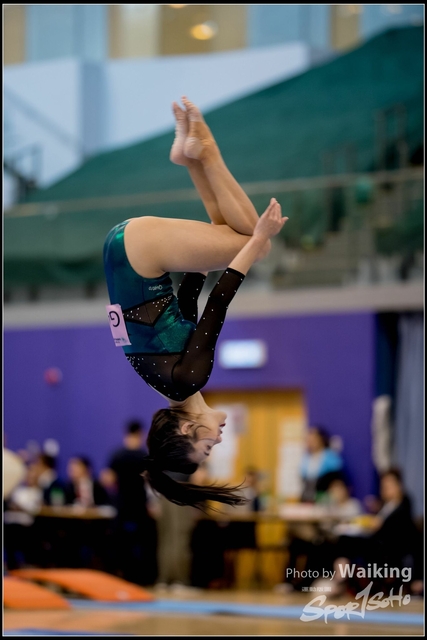2019-03-31 Artistic Gym 0301