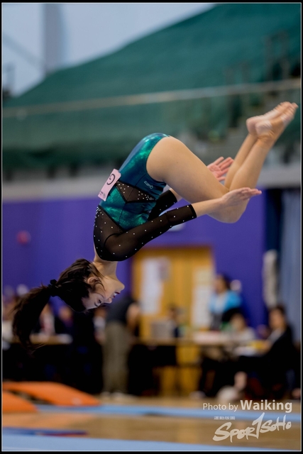 2019-03-31 Artistic Gym 0302