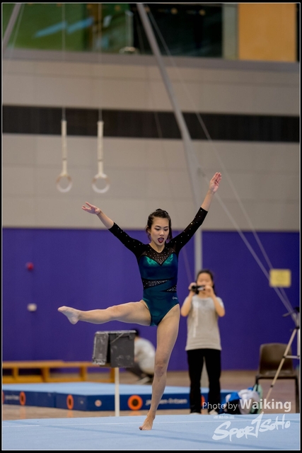 2019-03-31 Artistic Gym 0306