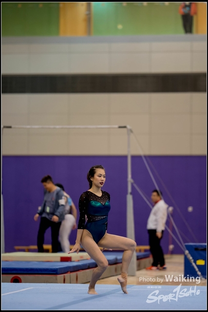 2019-03-31 Artistic Gym 0308