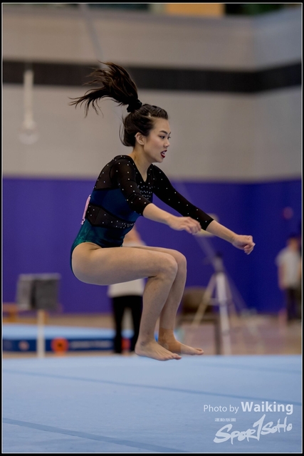 2019-03-31 Artistic Gym 0309