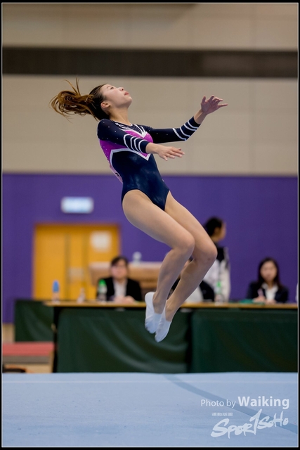 2019-03-31 Artistic Gym 0313