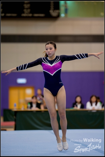 2019-03-31 Artistic Gym 0314