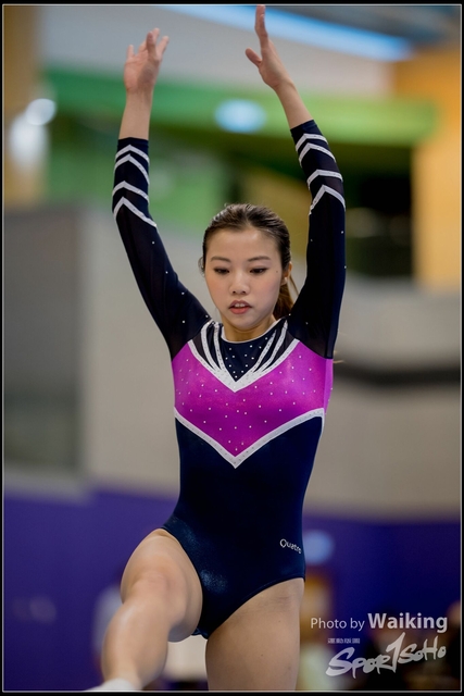 2019-03-31 Artistic Gym 0315