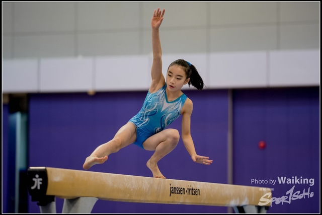 2019-03-31 Artistic Gym 0320