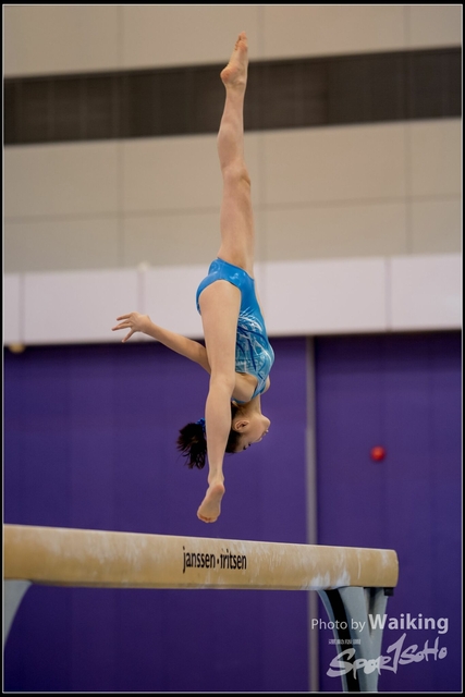 2019-03-31 Artistic Gym 0321
