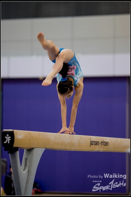 2019-03-31 Artistic Gym 0324